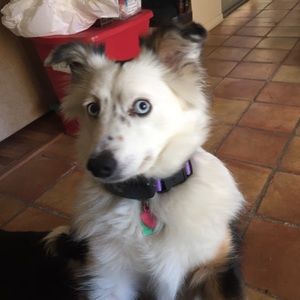Meet your Posher, Rylee